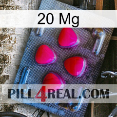 20Mg 13